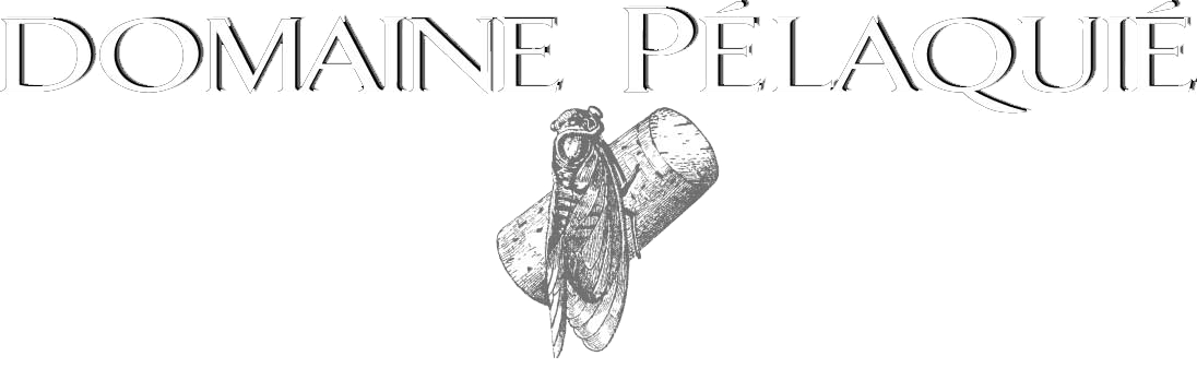 Logo Domaine Pélaquié - Appellations Côtes du Rhône, Villages Laudun, Crus Tavel, Lirac