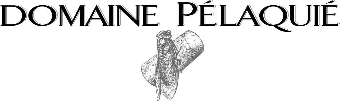 Logo Domaine Pélaquié