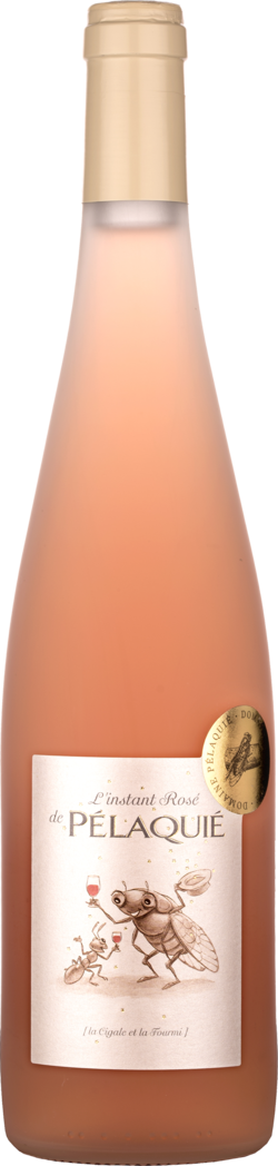 Côtes du Rhône - L'instant Rosé