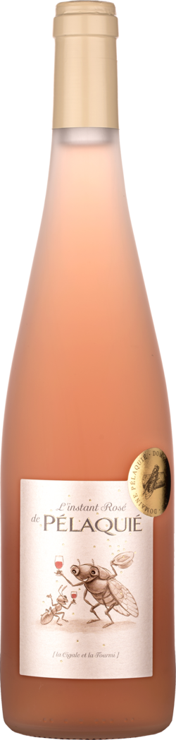 Côtes du Rhône - L'instant Rosé - 2020