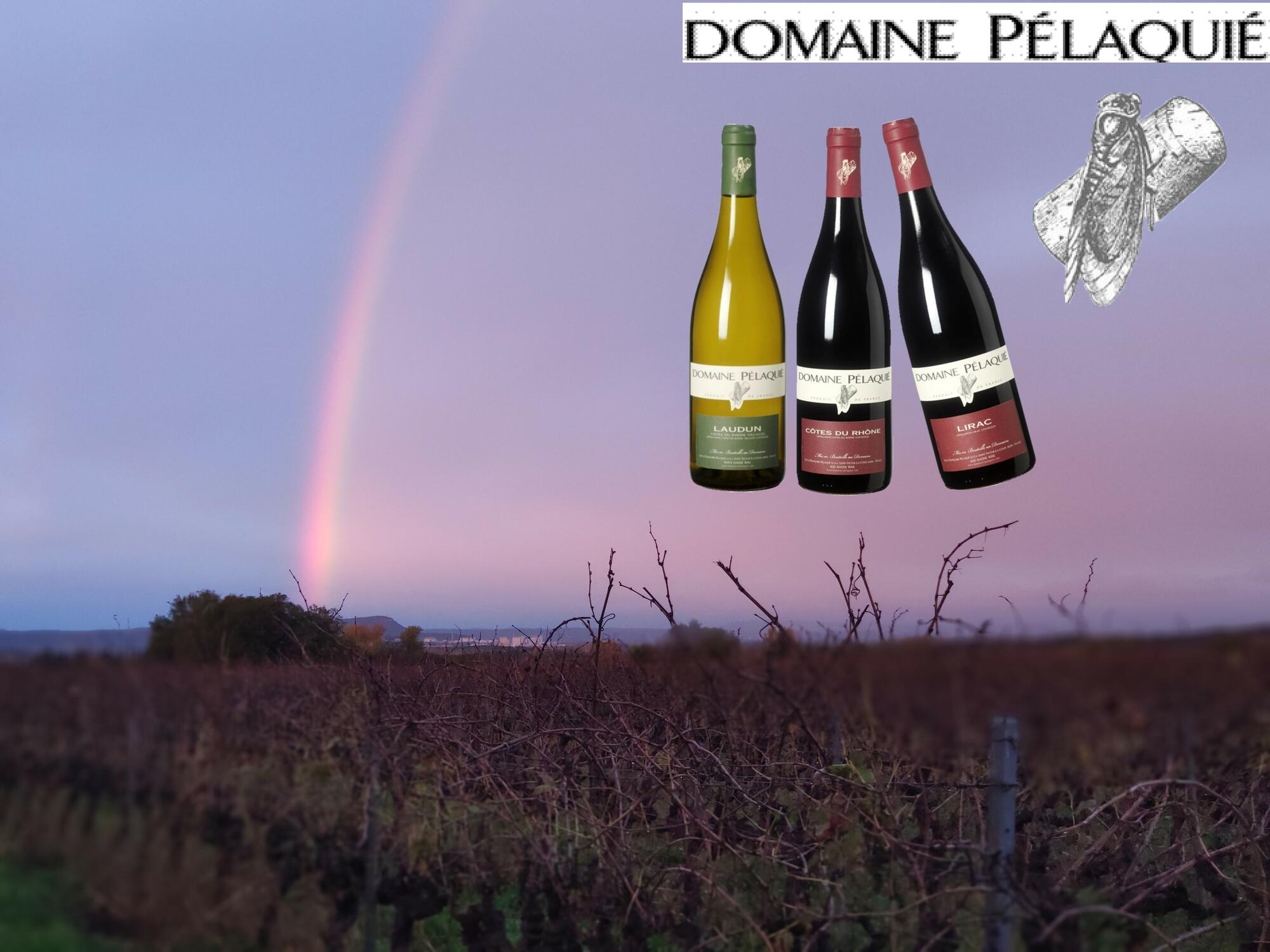 Fêtes de fin d'année 2022