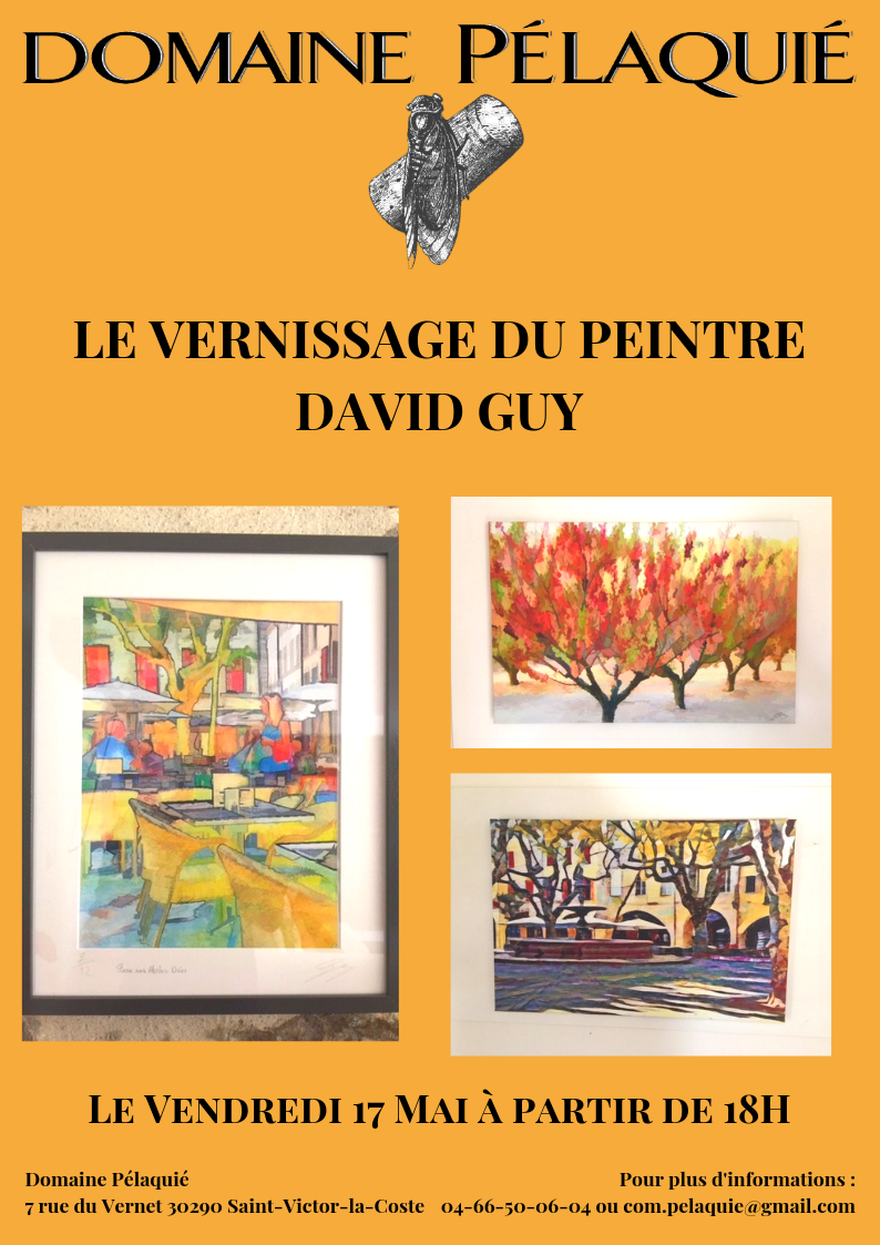 Vernissage du peintre David Guy